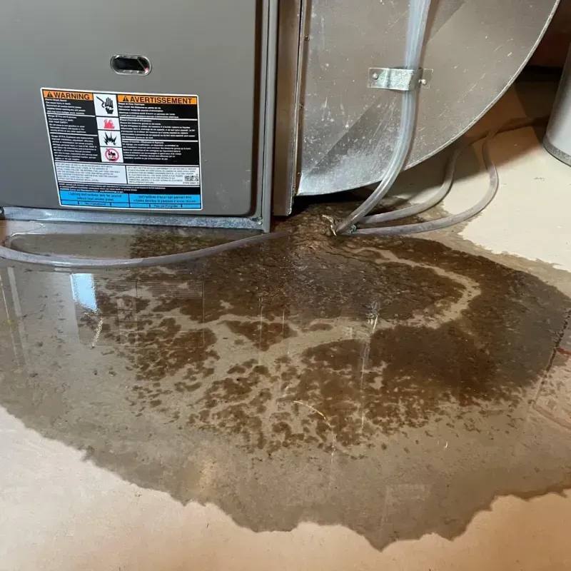 Appliance Leak Cleanup in Shadeland, IN